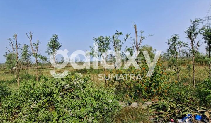 Land Location Very Strategic at Zero Suramadu Highway Bangkalan Madura