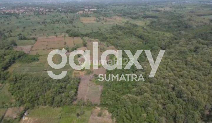 Tanah di Panceng, Gresik SHM 15.000 m² 2