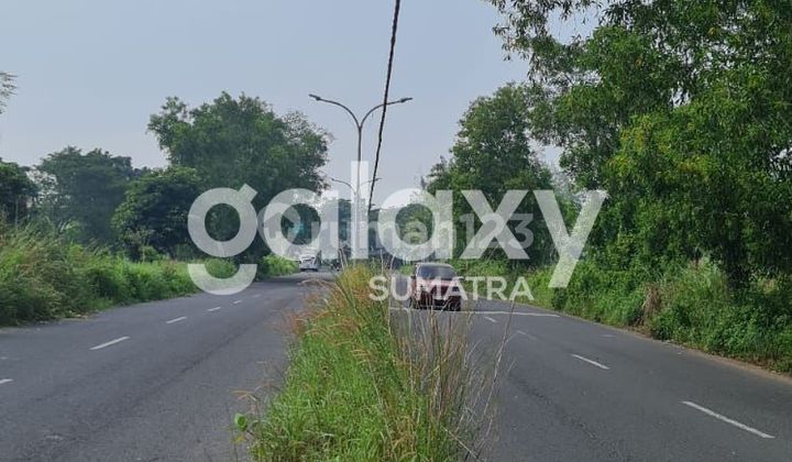 Land 8903 m2 SHM Certificate, Bangkalan Madura