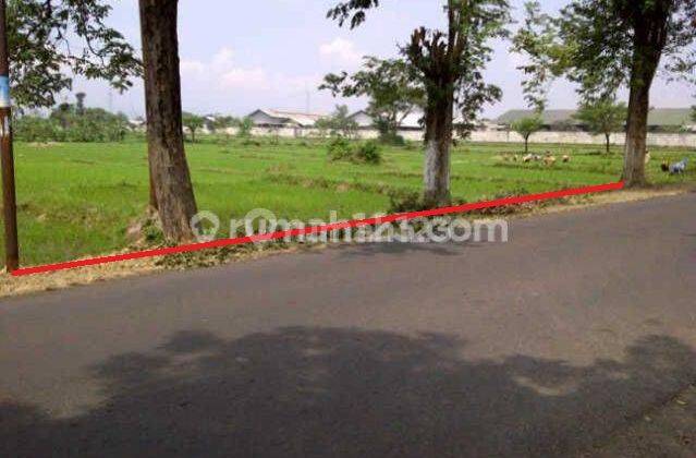 Dijual Tanah di Raya Kalirejo, Sukorejo Pandaan 1