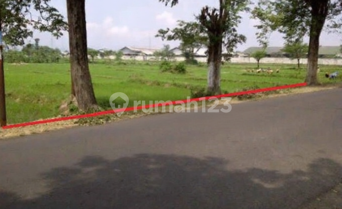 Dijual Tanah di Raya Kalirejo, Sukorejo Pandaan