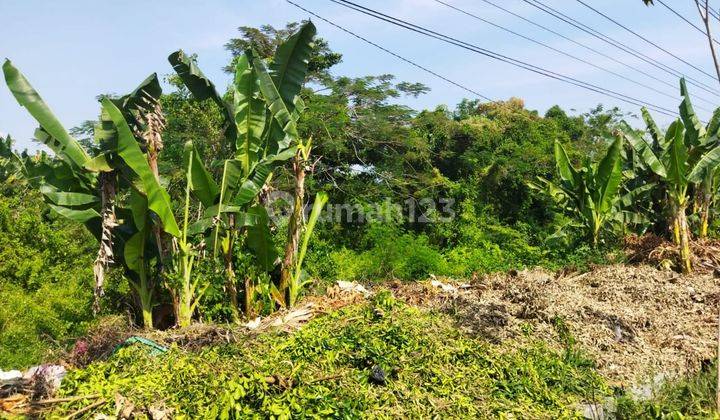 Tanah Pekarangan Siap Bangun Klaten Kota 2