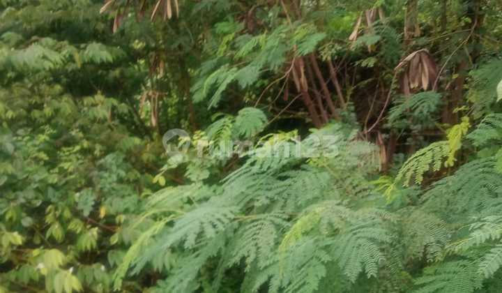Tanah Pekarangan Siap Bangun Joyontakan Solo 2
