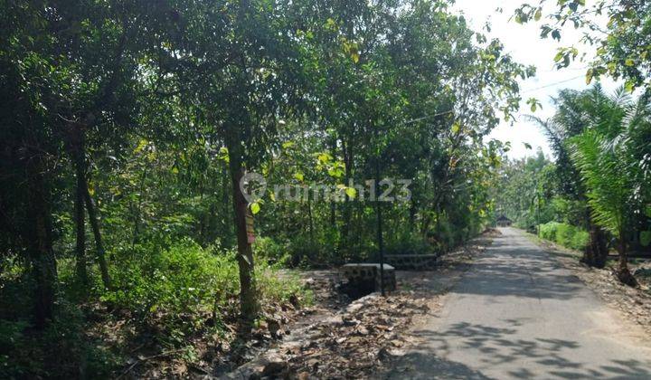 Tanah Pekarangan Strategis Giriwono Wonogiri 2