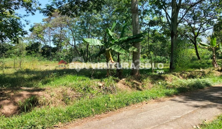 Tanah Strategisi Mojosongo Boyolali