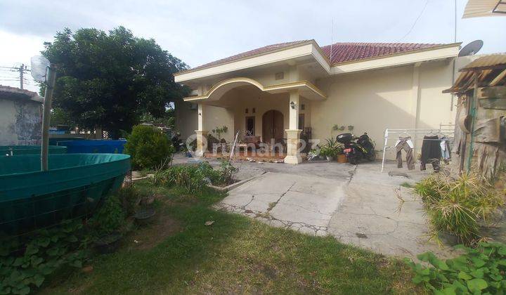 Rumah Siap Huni Kawasan Donohudan 2