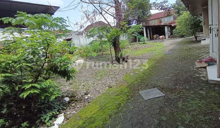 Rumah Lama Terawat Strategis Laweyan Solo 2