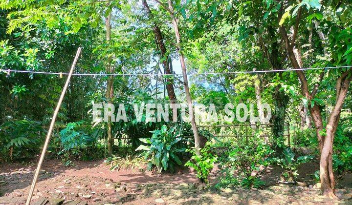 Tanah di Ngadirejo, Karanganyar SHM 479 m² 1