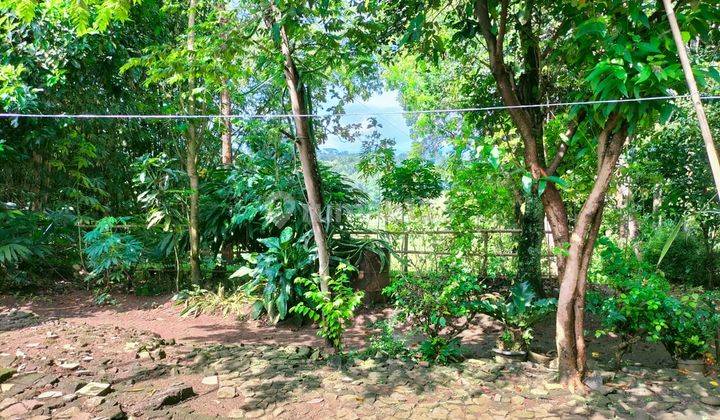 Tanah di Ngadirejo, Karanganyar SHM 479 m² 3