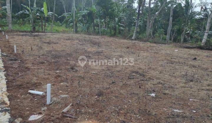 Tanah Pekarangan Kavling Siap Bangun Punung Pacitan 2