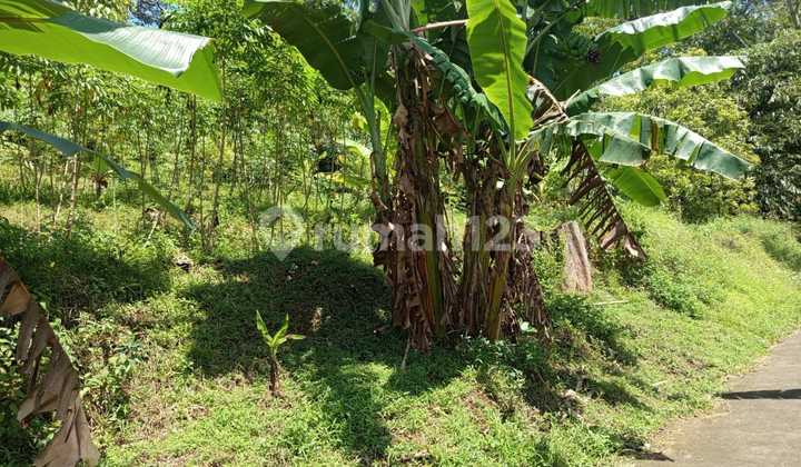 Tanah Siap Bangun di Ungaran Barat Kabupaten Semarang 2