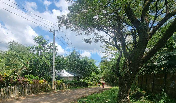 Tanah matang area Maros  6
