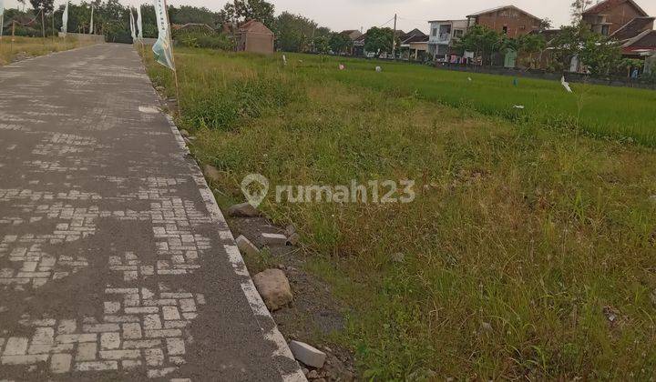 Rumah Minimali, Cantik di Gentan Solo 9