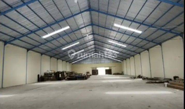 Gudang Prospektif ,tergolong Baru,container masuk 1
