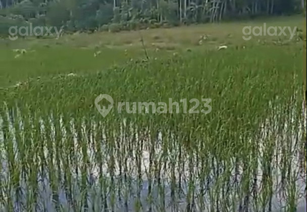 Tanah Strategis 600 m2 Karangkates Sumberpucung Malang GMK03753