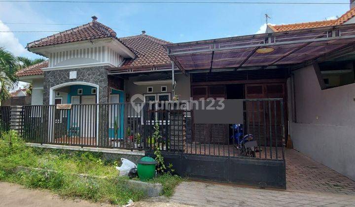 Rumah Bagus 3 Kamar Dijual di Sumbersari Malang Gmk01107 1