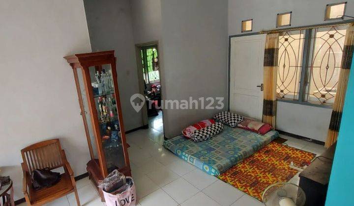 Rumah Bagus 3 Kamar Dijual di Sumbersari Malang Gmk01107 5