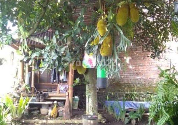 Tanah Dijual di Jalan Alternatif Batu Malang Gmk01022 2