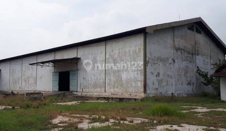 Gudang Strategis di Jalan Raya Babat Jombang Bojonegoro Gmk01733 3