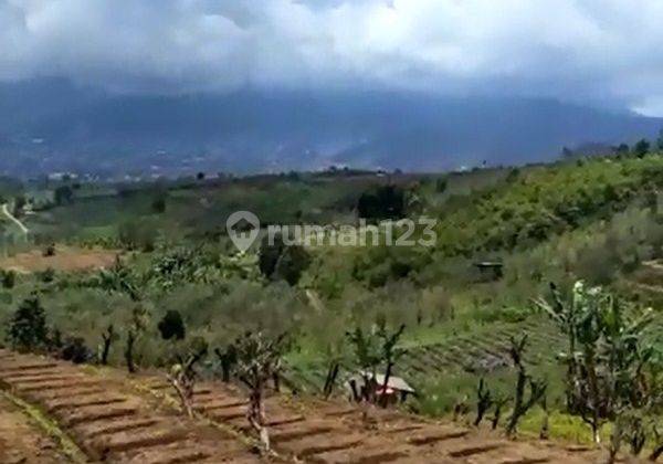 Tanah 4200 M2 View Bagus Dijual di Bumiaji Batu Gmk01809 2