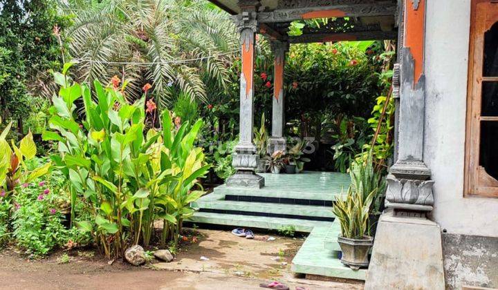 Rumah Berhalaman Luas di Desa Banyupoh, Buleleng, Bali Gmk01848 2
