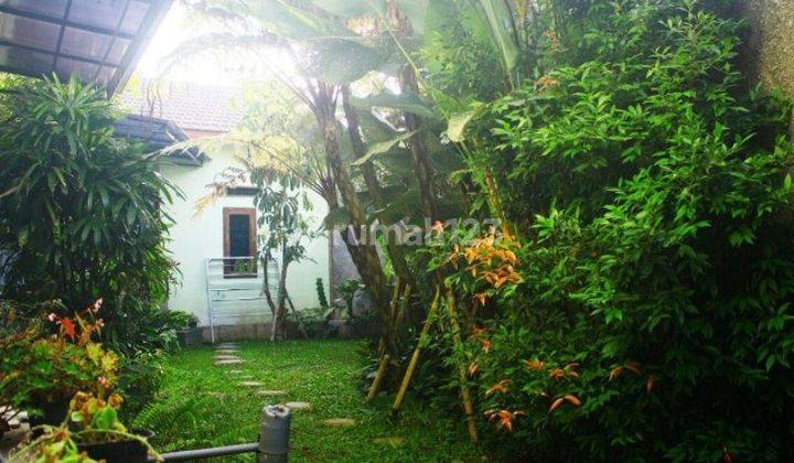 Rumah Bagus Dijual di Daerah Sumbersari Malang Gmk01909 3
