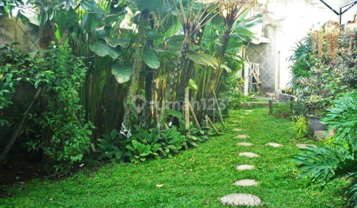 Rumah Bagus Dijual di Daerah Sumbersari Malang Gmk01909 4