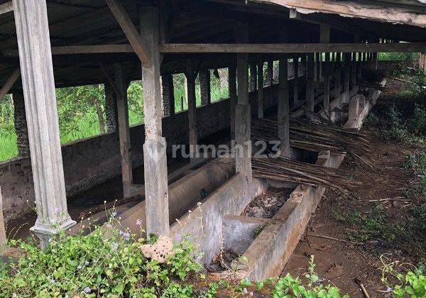 Tanah 14.000 M2 Dijual di Jambean Pasuruan Gmk01921 6