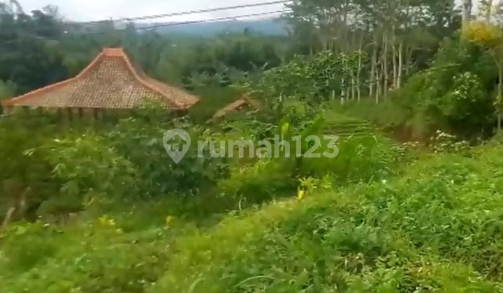 Tanah 5280 M2 Dijual di Desa Dengel Bumiaji Batu Gmk01927 8