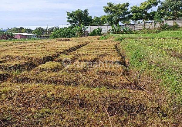 Tanah 2230 M2 Disewakan di Beji, Junrejo, Batu Gmk01969 1
