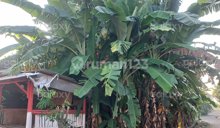 Tanah Kavling 5 x 15 di Bangil Pasuruan GMK03739