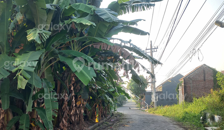 Tanah Kavling 5 x 15 di Bangil Pasuruan GMK03739