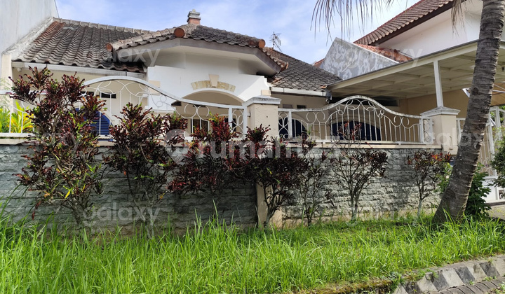 Rumah Bagus 3 Kamar Araya Blimbing Malang Gmk03594