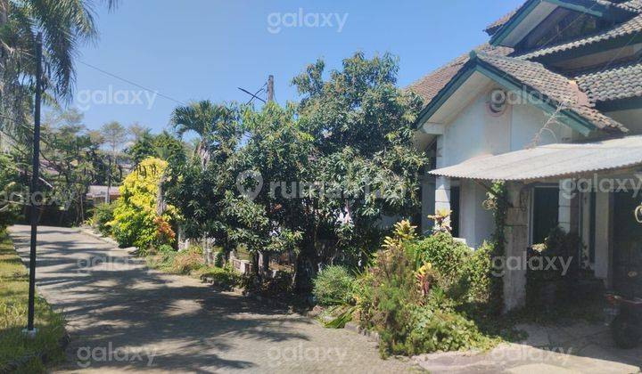 Rumah Bagus 5 Kamar di Daerah Buring Malang Gmk03081 2