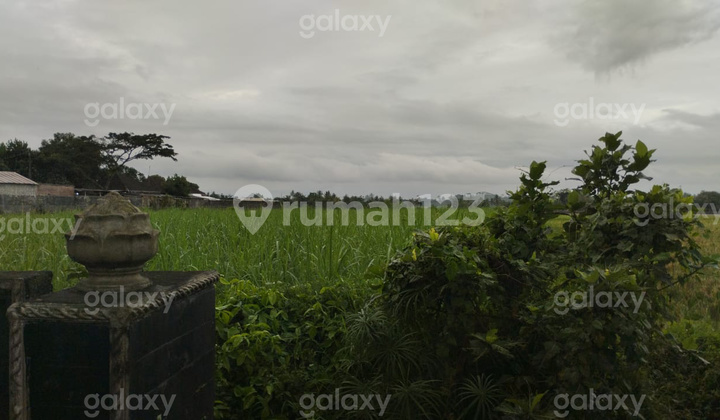 Tanah Strategis 4052 M2 Kota Kepanjen Malang Gmk03780 Tanah Strategis 4052 M2 Kota Kepanjen Malang Gmk03780