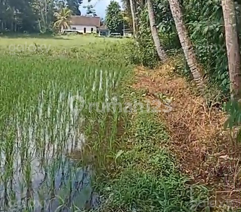 Strategic Land 600 m2 Karangkates Sumberpucung Malang GMK03753