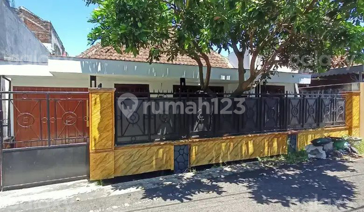 Rumah Bagus Siap Huni Daerah Blimbing Malang GMK03472