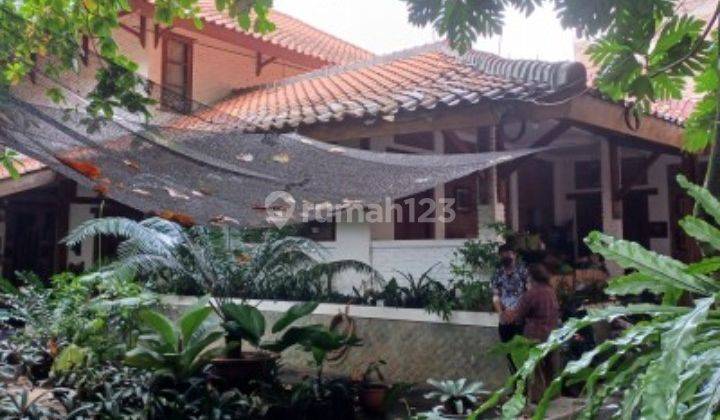 Rumah Kebun Asri Nyaman Tanah Luas Harga Murah 2