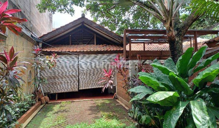 Rumah Kebun Asri Nyaman Tanah Luas Harga Murah 1