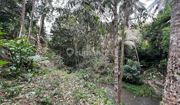 Tanah Ubud View Sungai Sayan Kontur Hampir Datar 1