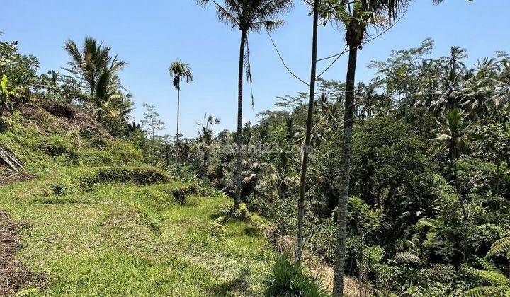 Land in Tegallalang Bali Gianyar Valley and Jungle View