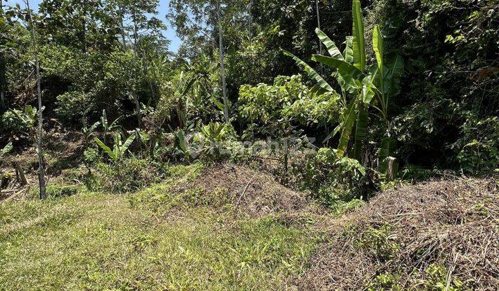 Tanah di Tegallalang Bali Gianyar View Lembah Dan Jungle 2