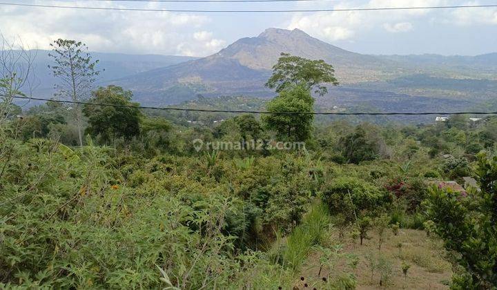 Tanah Kintamani Bali View Mount SHM Flat Terraced Contours  1