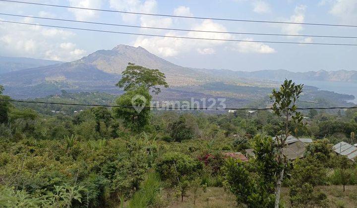 Tanah Kintamani Bali View Mount SHM Flat Terraced Contours  2