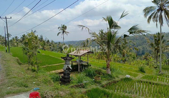 Tanah di Payangan Ubud Bali, Gianyar SHM View Lembah  1