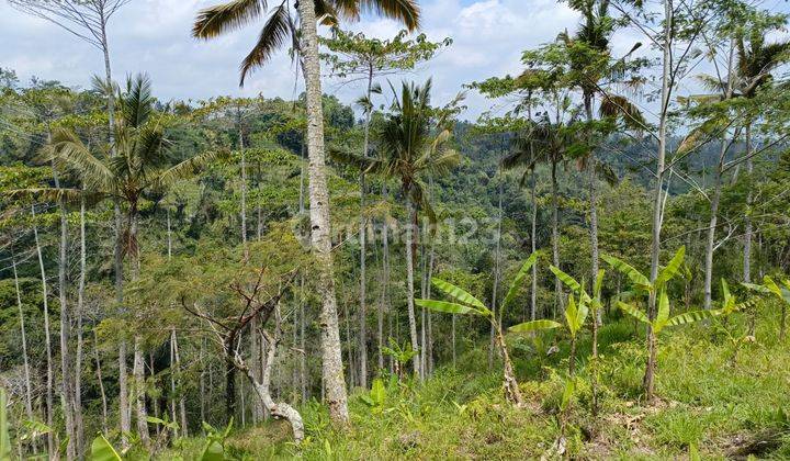 Tanah di Payangan Ubud Bali, Gianyar SHM View Lembah  2