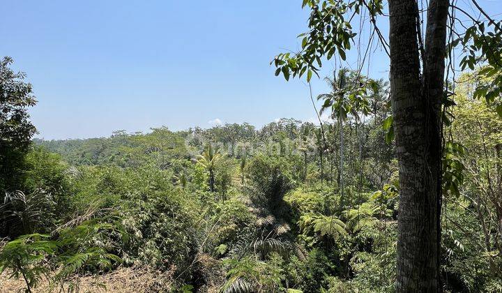 Tanah di Tampaksiring Bali, Gianyar Cocok Hotel  1