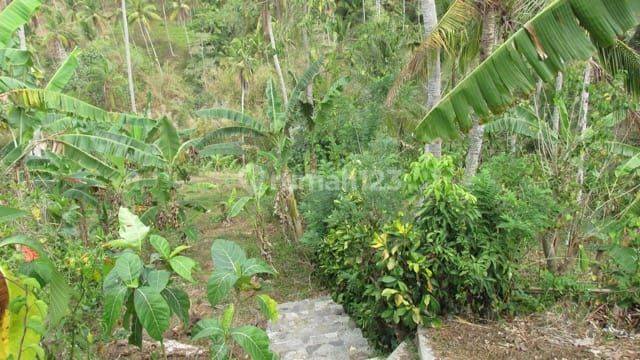 Land in Tabanan Bali is suitable for a resort or villa 2