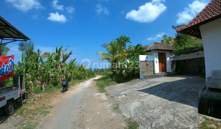 Land in Tabanan Bali is suitable for a resort or villa 1