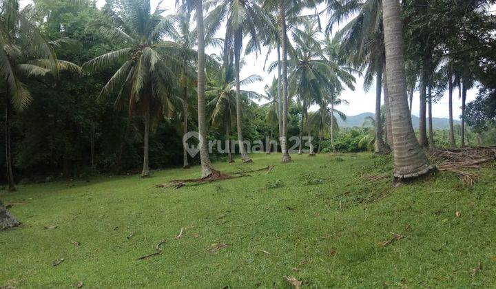 Land in Tabanan Bali Suitable for Villas Near Soka Beach 1